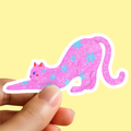 Cute Stretching Cat