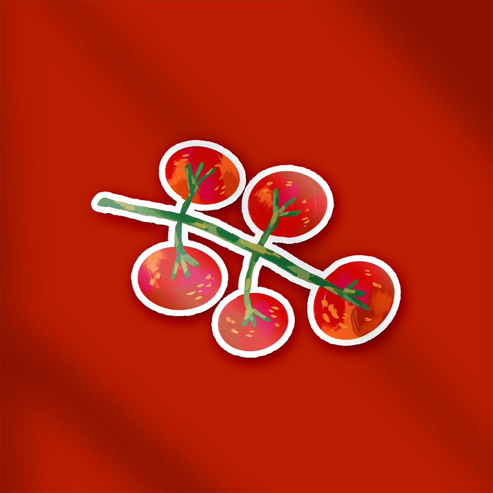 a glossy vinyl sticker of a cherry tomato vine, white border, against solid red background. Food-themed sticker by Ziyi Studio.