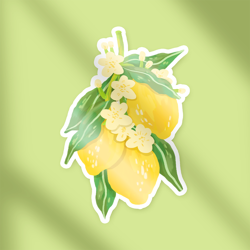 Glossy vinyl sticker of hand-drawn yellow lemons with white citrus blossoms and green leaves. Summer fruit bouquet illustration by Ziyi Studio.