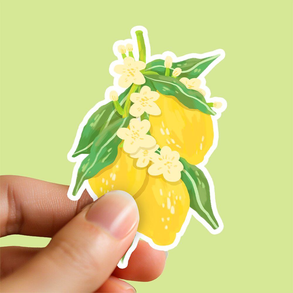 Glossy vinyl sticker of hand-drawn yellow lemons with white citrus blossoms and green leaves. Summer fruit bouquet illustration by Ziyi Studio.