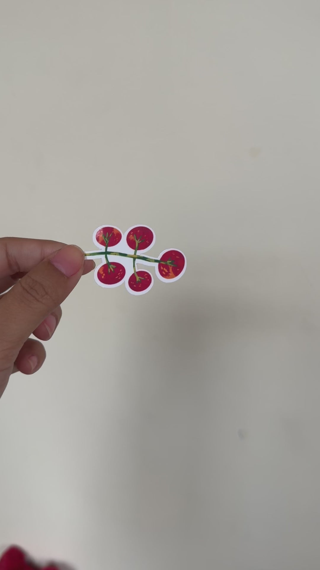 holding a glossy vinyl sticker of a cherry tomato vine, white border, against solid red background. Food-themed sticker by Ziyi Studio.